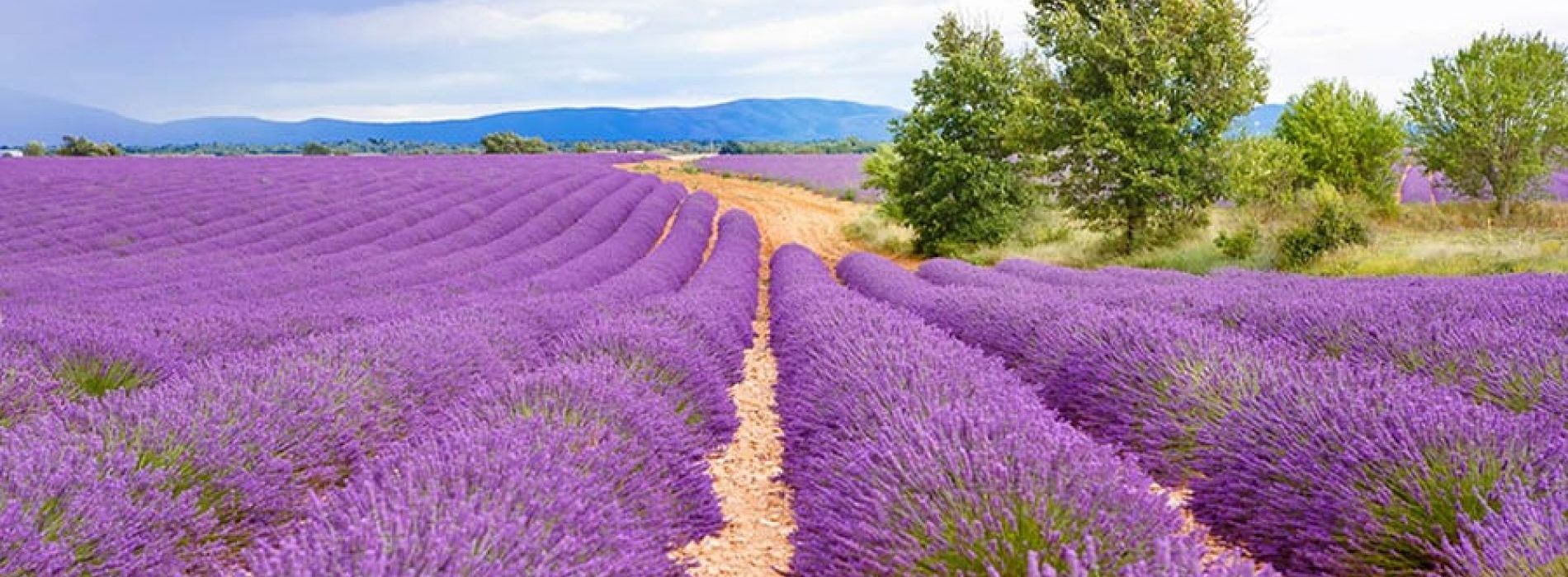 Tuscia: Arte, Musica e Natura